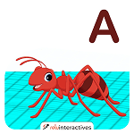 Ant AR Card