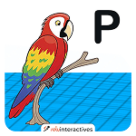 Parrot AR Card