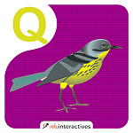 Quail AR Card