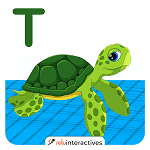 Turtle AR Card