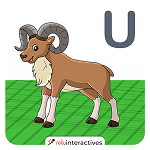 Urial AR Card
